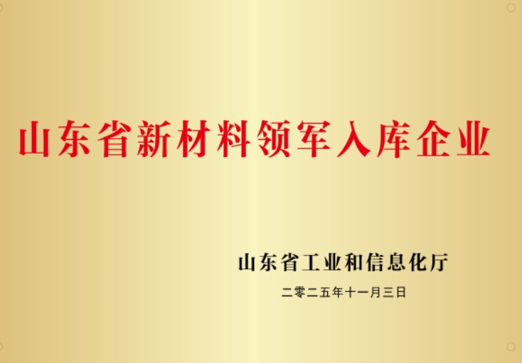 山东省新材料领军入库企业