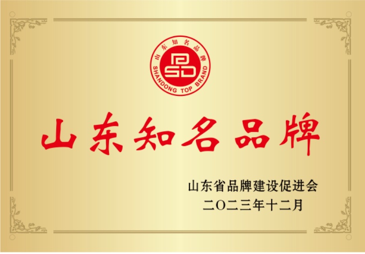 山东知名品牌